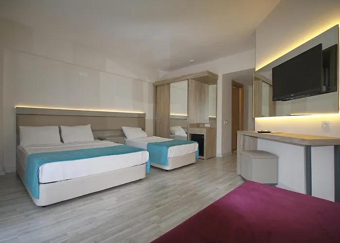 Отель Palmea 4*