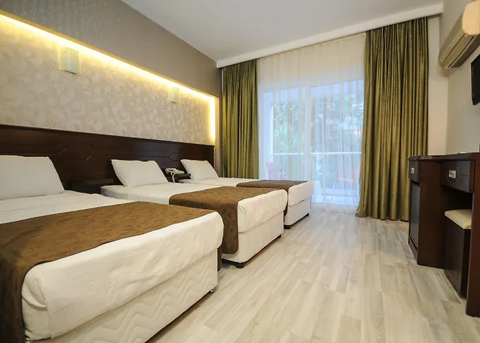 Hotel Palmea